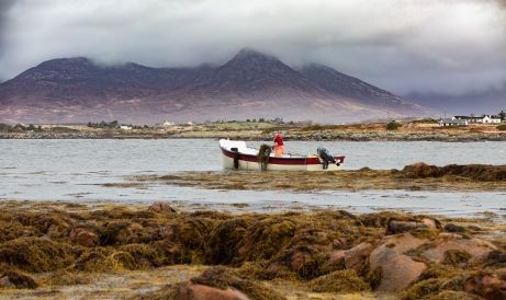small boat out in the water with man harvesting seaweed.