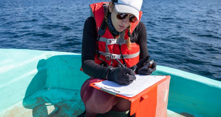 woman-marine-biologist-taking-notes-in-boat An adult woman wearing a white and black baseball cap, sunglasses, a black long-sleeved shirt, an orange life jacket, dark pink pants and black gloves and shoes, is sitting in a turquoise boat and taking notes on a clipboard. In one gloved hand she holds a pen to the clipboard and the other she holds a small black device. The boat is on choppy, deep-blue ocean waters, with an island in the background under a blue sky.